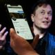 Tesla boss Elon Musk is courting big Twitter shareholders such as co-founder Jack Dorsey as he looks to rely less on debt in his bid to buy the global one-to-many messaging platform.