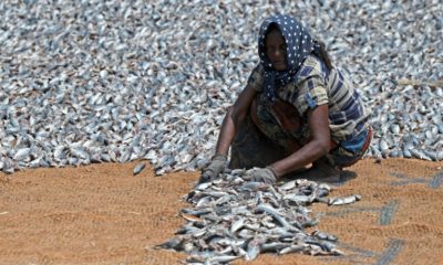 Global fisheries subsidies are estimated at between $14 billion and $54 billion a year, according to the WTO