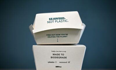 UK start-up Notpla makes naturally degrading -- and even edible -- packaging from seaweed and other marine plants
