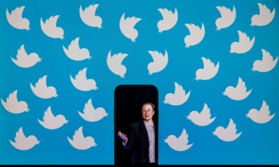 There has been fevered talk of Twitter's imminent demise since billionaire Elon Musk took over